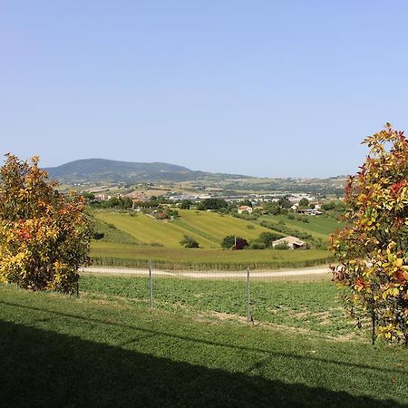 Villa Belvedere Degli Ulivi Osimo Dış mekan fotoğraf